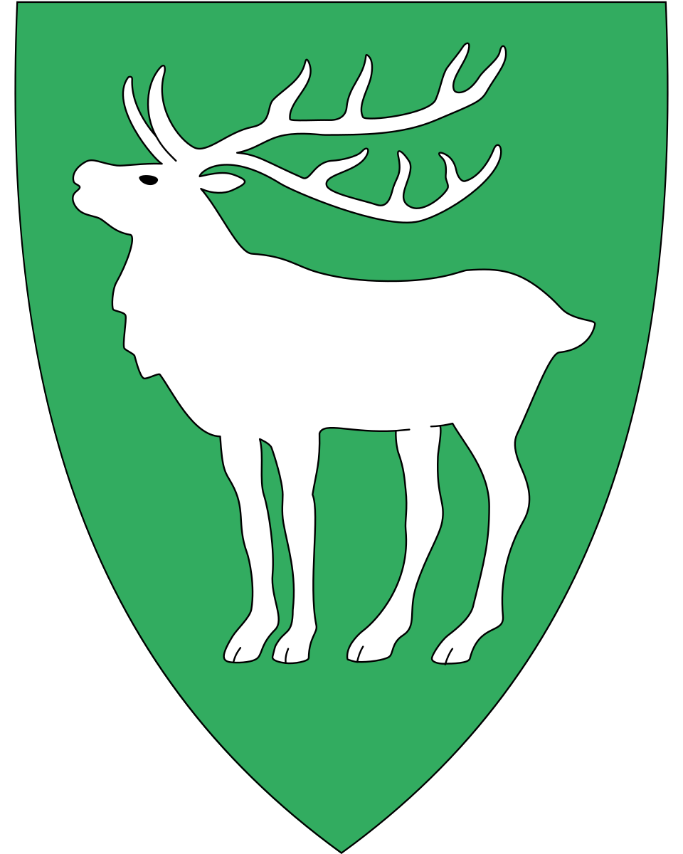 Hjartdal kommune