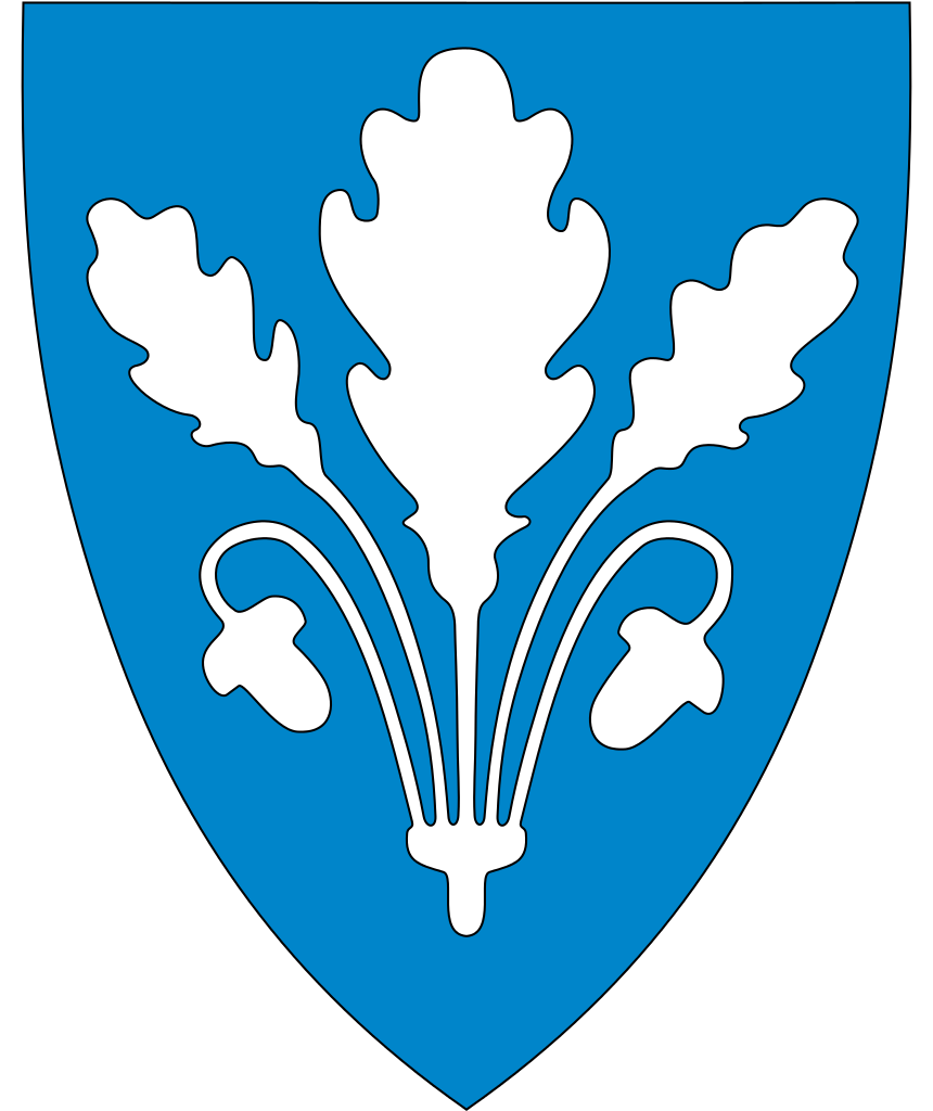 Øvre Eiker kommune