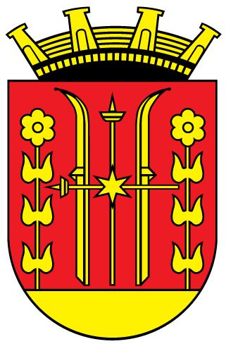 Skien kommune